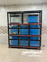  1 واجهه احواض سمك للبيع