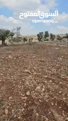  10 فرصة استثمارية لا تعوض . ارض مميزة للبيع في بيت قاد