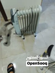  5 مدفاة هوائيه Oil redaitor heater