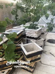  2 احواض زراعة رخام وحجر طبيعي طبقتين