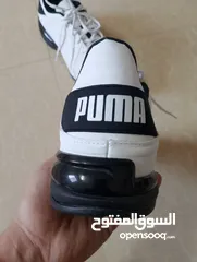  16 حذاء .Puma  اصلي بحال الوكاله لساته جديد وارد أروبي  الواحد ب 35