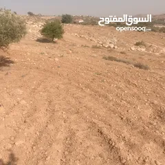  6 قطعة ارض شرق جرش مرويه من بئر ارتوازي مطله ومرتفعه بسعر مغري متوفر أكثر من 50 قطعه في نفس المنطقه