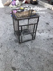  2 ‏قفص  ‏مكينة قهوة