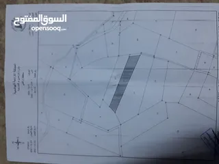  19 ارض زراعيه بسعر مغري