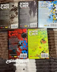  2 Anime Manga Books