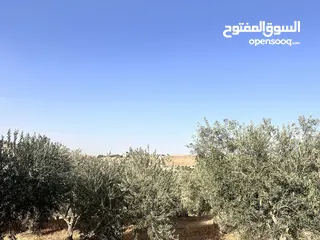  2 500 متر في بيرين حوض القصبات  بالقرب من شفا بدران