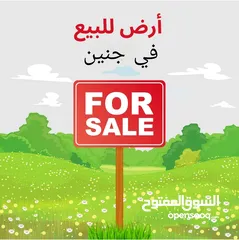  1 ارض في منطقةجنين  بين عربونة وديرغزالة   3 نمر كل مساحةكل نمرة700م صافي مسيجة و مزروعة اشجار زيتون