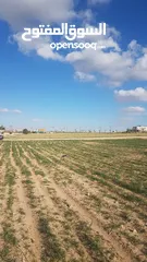  1 ارض للبيع في رجم عميش