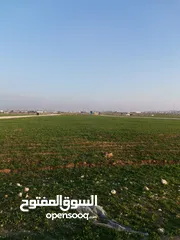  2 أرض 750 م للبيع على 3 شوارع في رجم الشامي بسعر منافس
