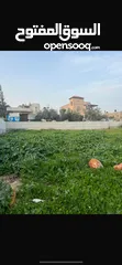  1 ارض للبيع بسعر ممتاز