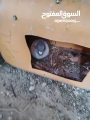  7 حمام للبيع