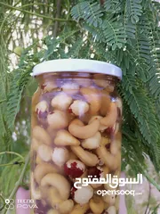  5 مناحل رحيق الزهور