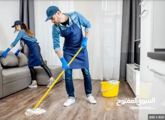  2 Cleaning Services