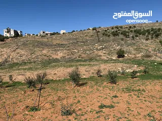  23 منزل ومزرعة للبيع في منطقة المريجمة-مادبا