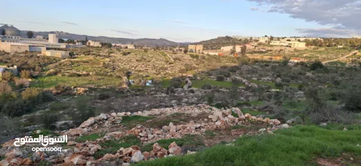  26 800متر طابوا فلسطيني في اجمل موقع بالكفريات واطلالة مميزةمنطقة( b)صالحة للبناء