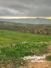  9 للبيع منبسطه واصل الخدمات اطلاله رائعة منطقة مزارع وشاليهات فخمه.