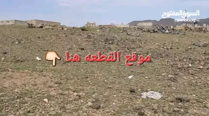  3 قطعة ارض ثمان للبن حر مخطط دوله معتمد قريبه للاسفلت للبيع