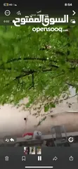  1 شقه للبيع في ابو نصير