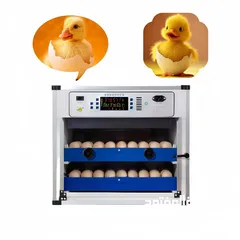  12 فقاسات اوسكار الايطاليه