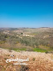  2 ارض للبيع طابو