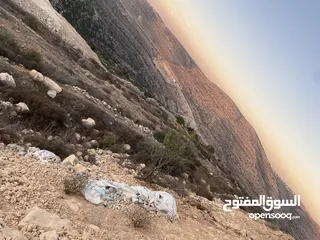  2 ارض للبيع (للاستثمار )