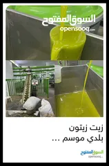  6 زيت زيتون (جبال عجلون)
