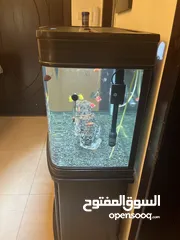  8 حوض سمك زينه كبير جاهز مع الاسماك