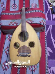  3 عود عراقي للبيع