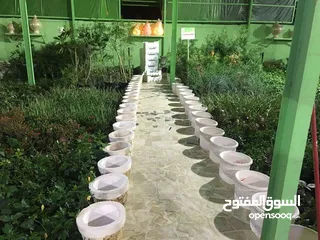  5 قوار حجر صناعي