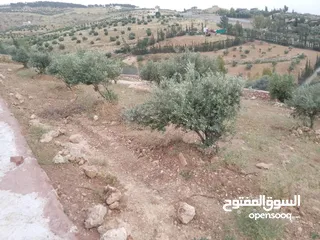  6 أرض ذات إطلالة خلابة في أجمل مناطق جرش