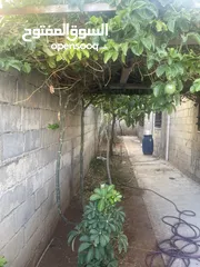  4 بيت مستقل للبيع ابوعلندا منطقة الرقيم