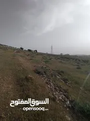  4 3600م للبيع رحاب بني حسن مرتفعه ومطله ع طريق اريد الزرقاء من المالك مباشره