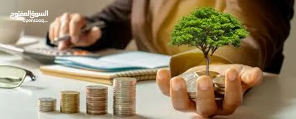  7 Investors Available Seeking For Investment Partnership And Funding for Established Businesses