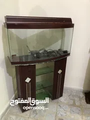 2 حوض سمك مع قاعدة مرتفعة وارفف زجاج