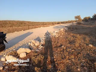  2 ارض للبيع في بيت قاد إطلالة مميزة وصالحة للبناء