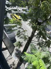  2 شقة مفروشة للبيع