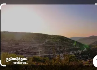  1 ارض مميزة للبيع
