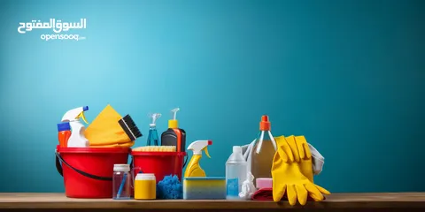  10 Noor cleaning services