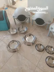  4 أغراض قطط للبيع في حالة الوكالة