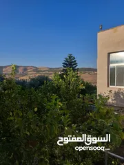  15 بيت مستقل للبيع في الجبل الأخضر