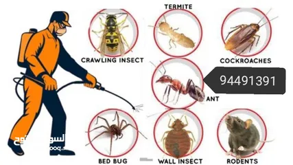  1 Pest control treatment's
