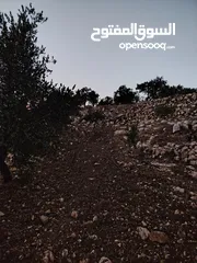 16 ارض للبيع مساحة4300م وعلى الواقع 12دونم تصلح بيت ريفي شاليه ارض زراعيه ويوجد فيها بيت قيد الانشاء