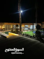  17 شالية الترف