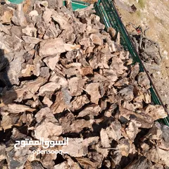  2 حطب زيتون يابس لمطاعم الزرب