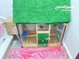  3 قفص كبير للبيع بسعر حلو كثير
