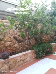  4 شبك حديقه منزليه