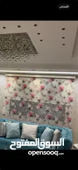  1 برداي زييرا