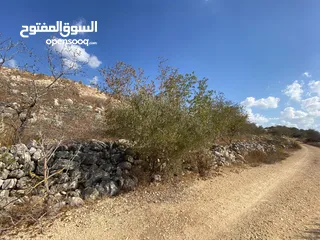  1 قطعة ارض للبيع  كوشان نظيف  تنازل مباشر تصنيف A منطقة جبل الشيخ عيسى  اطلاله غربيه