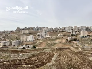  4 قطـع أراضي مميـزة في الدربيــــات (ابو السوس) من أراضـي غـرب عمـان