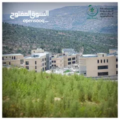  1 أرض استثمارية بجانب جامعة الزيتونة في سلفيت ، سعر مغري جداً *الأرض تنصيف B وصالحة للبناء